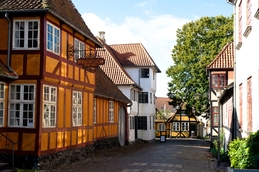 Fuenen