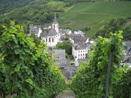 Mosel