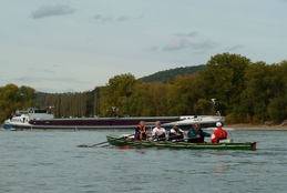 Rhein 2011
