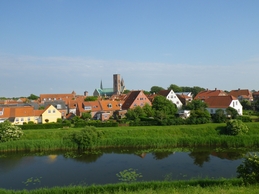 Ribe